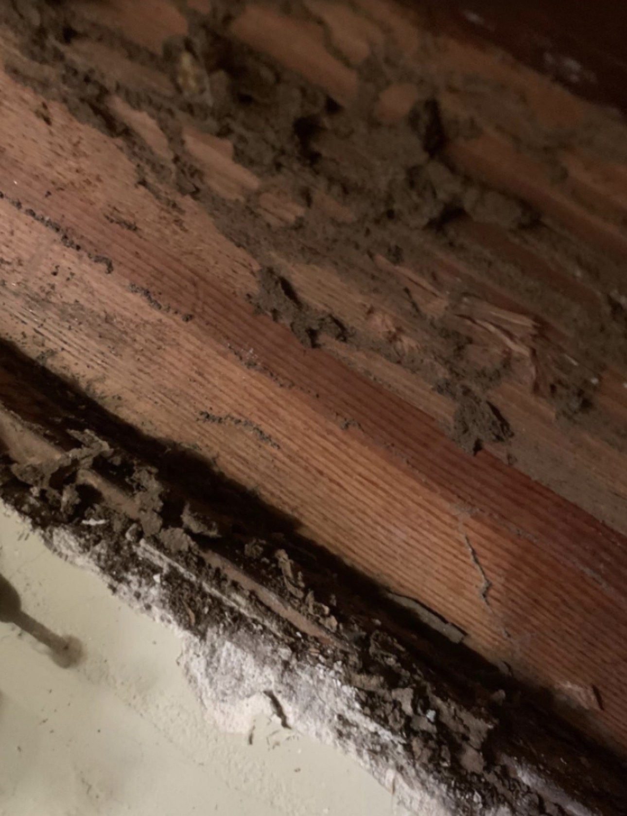 Damaged wood